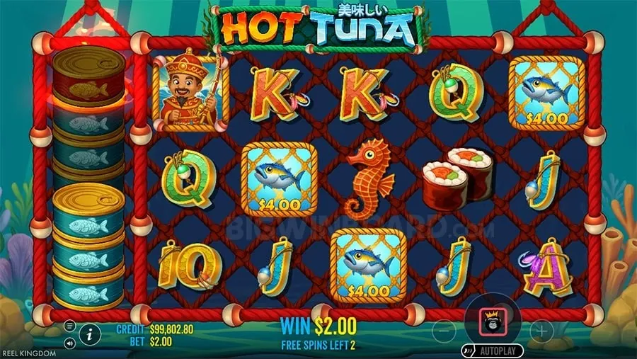 A diverse selection of 55bmw casino games including slots, live dealer, and sports betting